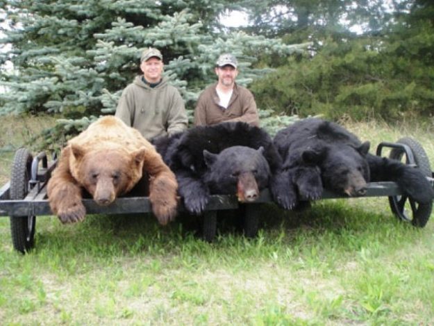 Deer and game cooler