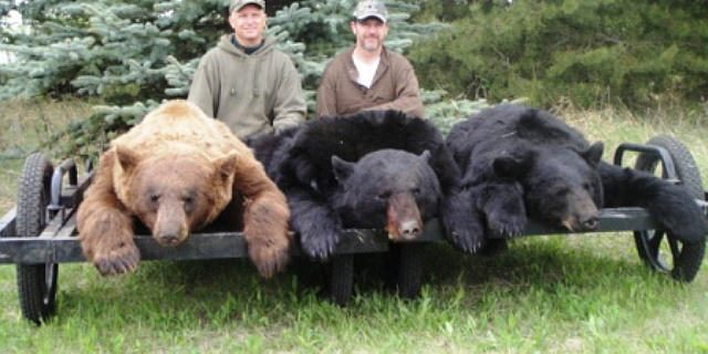 Deer and game cooler