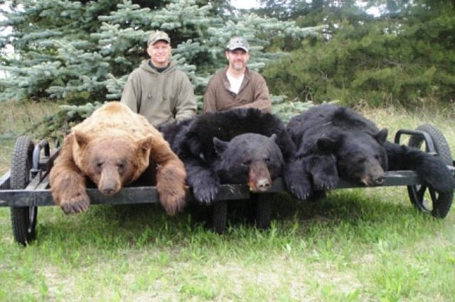 Deer and game cooler